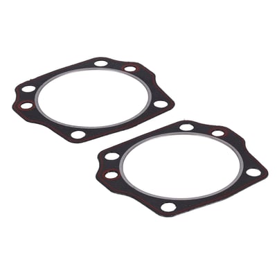 .045" thick cylinder head gaskets. 
Graphite with armor and Firering
