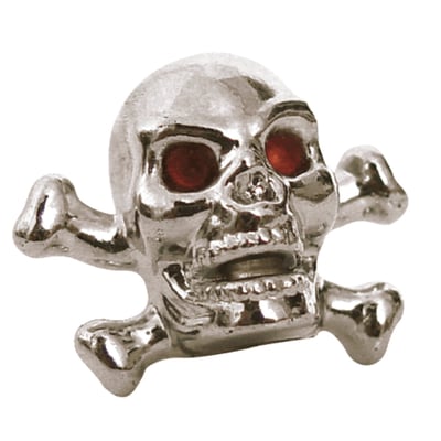 Skull head, chrome