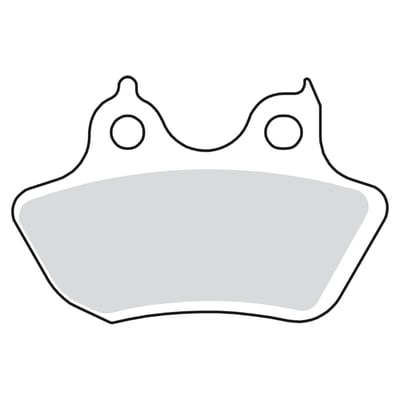 Street carbon tech brake pads are organic brake pads. An affordable upgrade for Ceramic brake pads, for bikes with customized brake system and discs. Compatible with stainless steel, cast iron, chromed and polished brake discs. 
Recommended for pre-2000 H-D models. 
- ECE R90 approved.