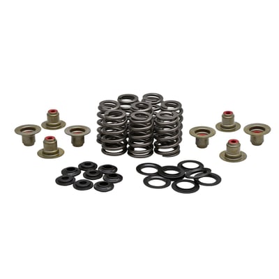 Includes steel top collars, chrome siilicone Beehive style springs and OEM style KPMI manufactured red Viton valve seals. Installed height 1.550". Installed spring pressure 85 lbs. Open pressure 257 lbs@.550 valve lift. Compatible with standard 6mm valve stem diameter. 

Note: Does not include valve keys, OEM valve keys can be re-used.