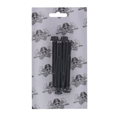 Kit includes 4 bolts.  
Black. Hex head. Titanium. 