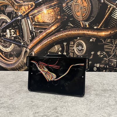 With built-in 3-1 taillight, brake light & turn signal function installed on left and right side of the frame & a top side mounted E approved LED license plate light. Tidy tail made simple! – The license plate frame is mounted to your existing bracket, or one of the DMP license plate brackets/holders for the cleanest look. Then you slide your license plate in from the bottom. The plate locks with the small screws from the back (included). Danish Motorcycle Parts (DMP) milled this frame from a single piece of billet aluminum for strength and lightweight, it's powder coated for durable and lasting beauty. Universal fit and will install to most motorcycles. - With E marked LED license plate light - With 3-1 turn signal, taillight & brake light combo.