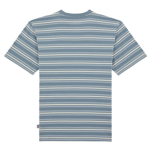Dickies Lewistown Stripe t-shirt stormy weather