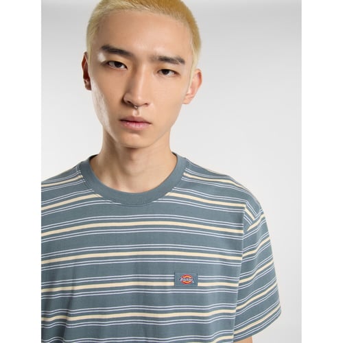 Dickies Lewistown Stripe t-shirt stormy weather