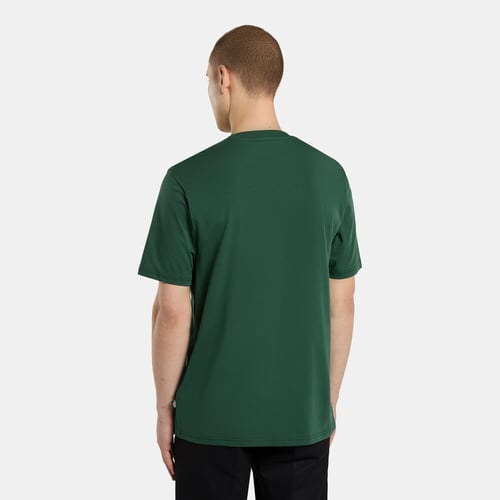 Dickies Mapleton t-shirt pine needle green