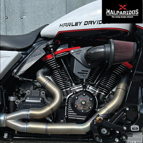 Malparidos, heat shields. Satin race. Titanium