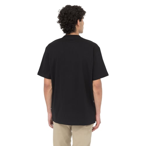 Dickies Summerdale t-shirt black