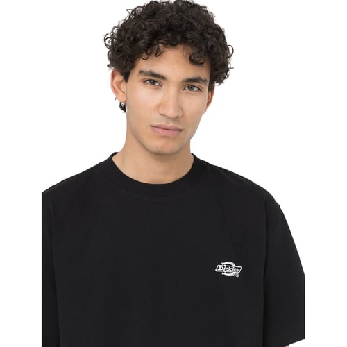 Dickies Summerdale t-shirt black
