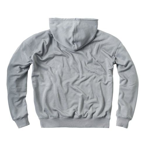 WCC Iron Oversized hoodie gray