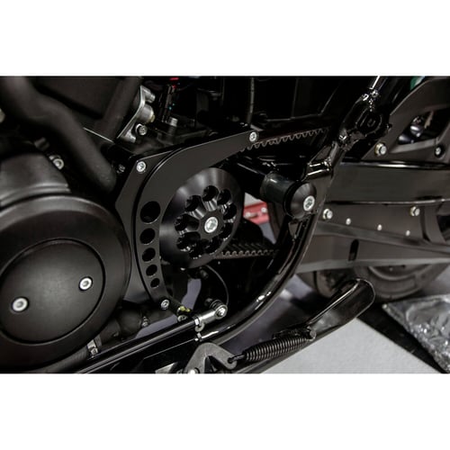 Free Spirits Boomerang pulley guard