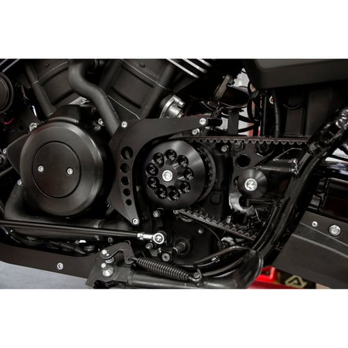 Free Spirits Boomerang pulley guard