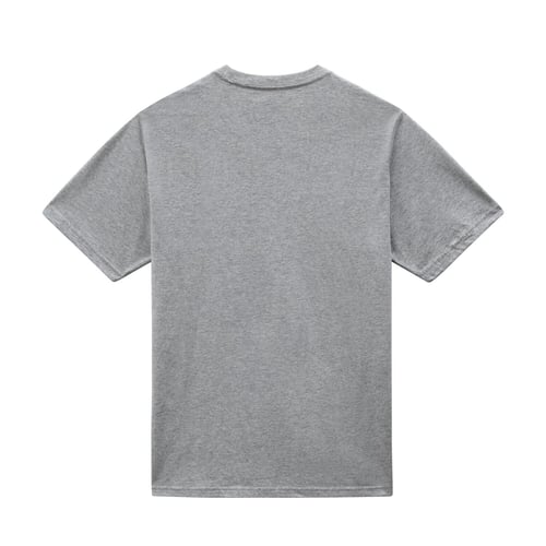 Dickies Mapleton t-shirt gray melange