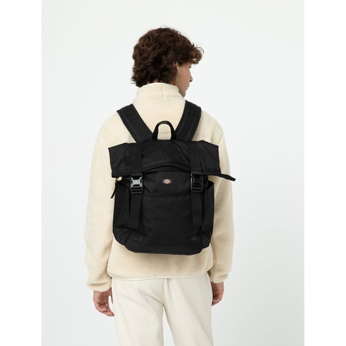 Dickies Ashville backpack black