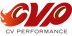 CV Performance